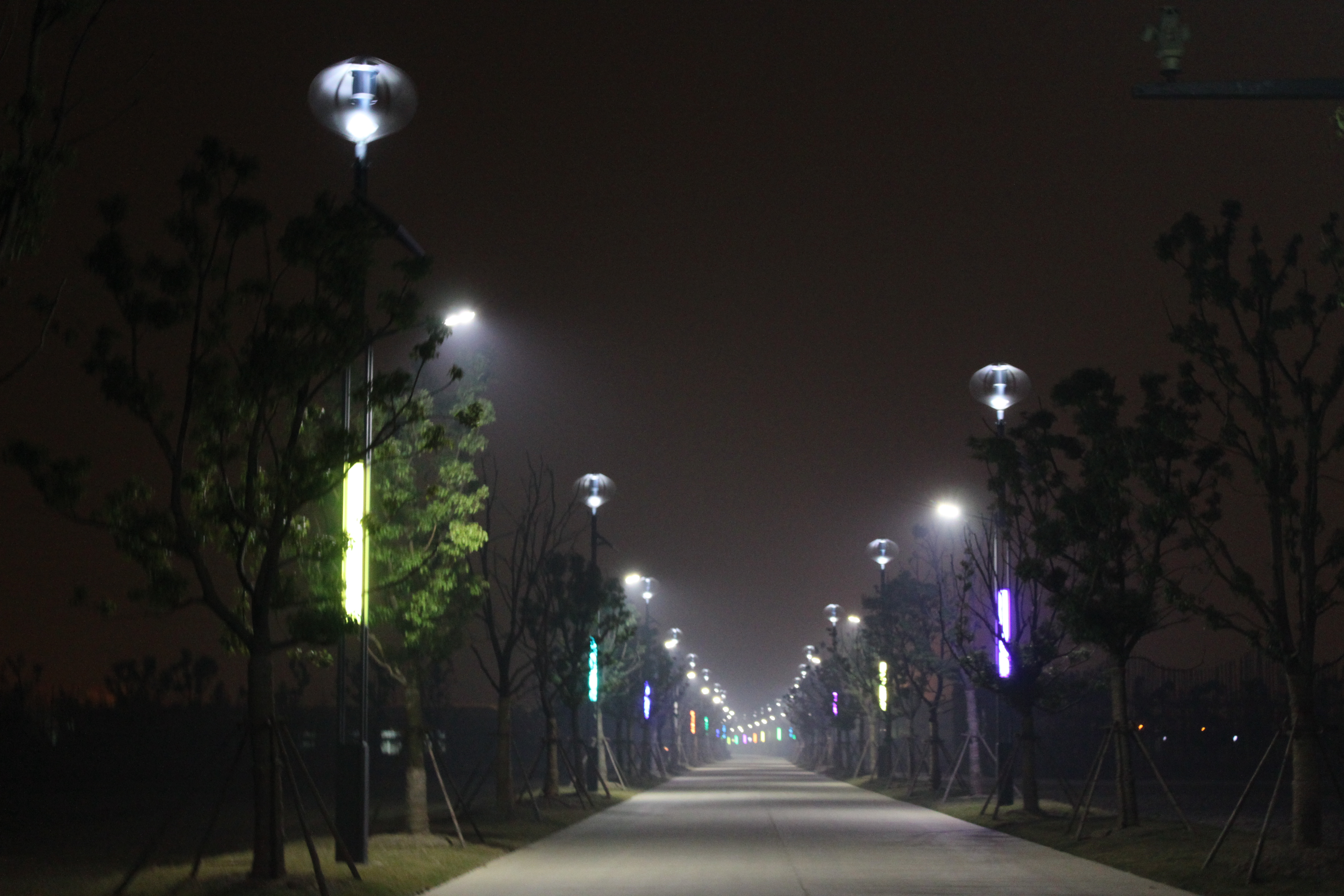 Hybrid Street Light